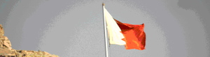 Бахрейна флаг