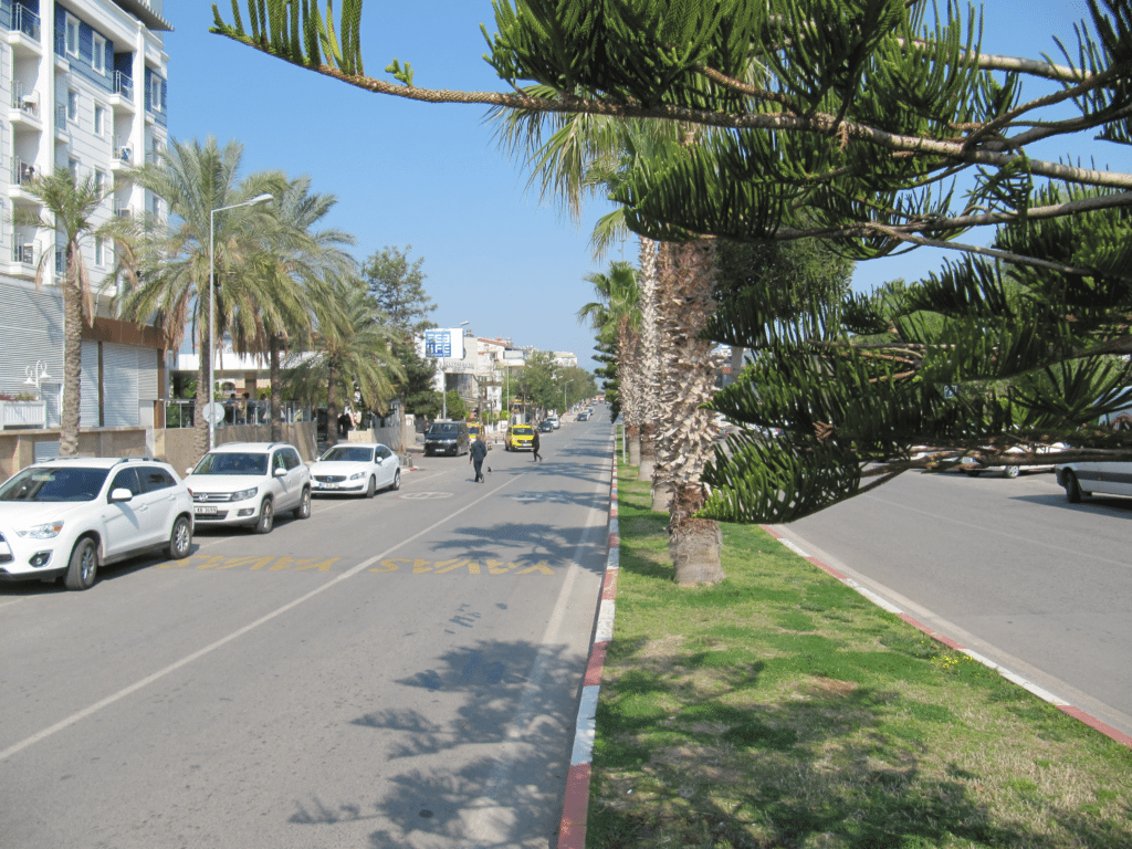 Вид с южной части бульвара Гази Мустафа Кемаль на север
