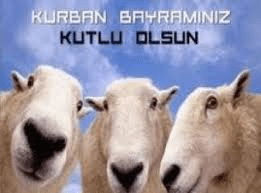 Праздник Курбан-байрам в Турции в 2020 году.