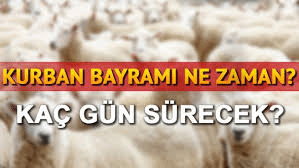 Праздник Курбан-байрам в Турции в 2021 году