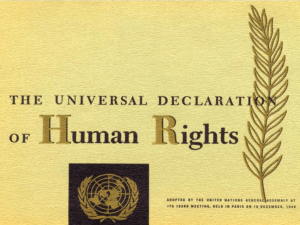 Декларация прав человека